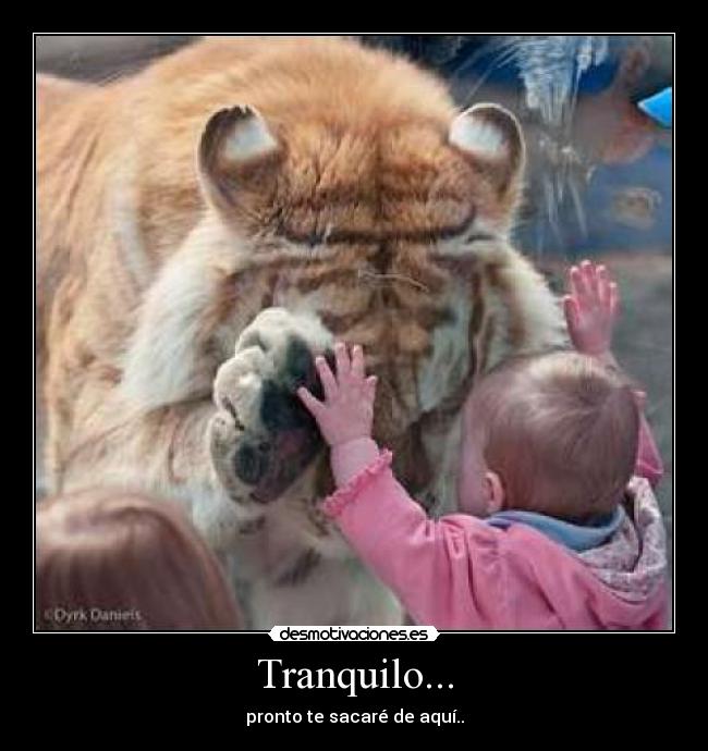 Tranquilo... - pronto te sacaré de aquí..