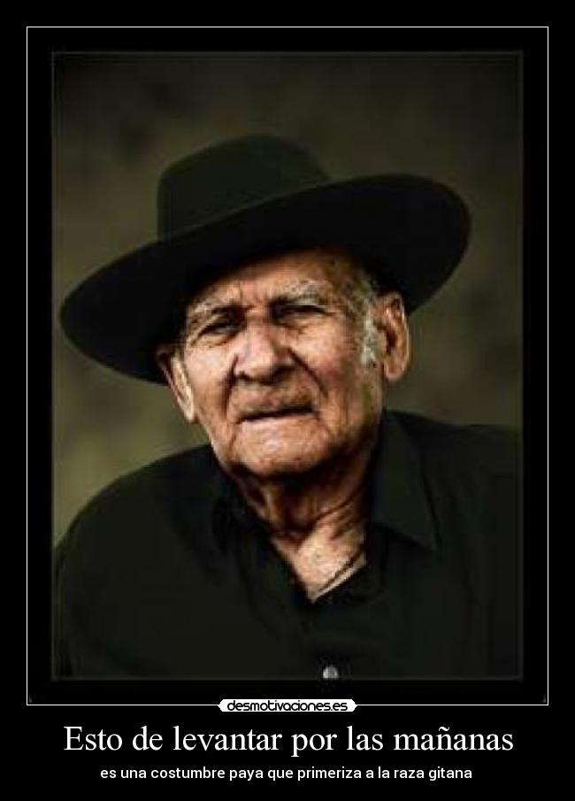 carteles esto levantarse por mananas una costumbre paya que primeriza raza gitana desmotivaciones