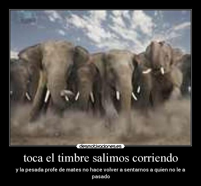 toca el timbre salimos corriendo - y la pesada profe de mates no hace volver a sentarnos a quien no le a pasado