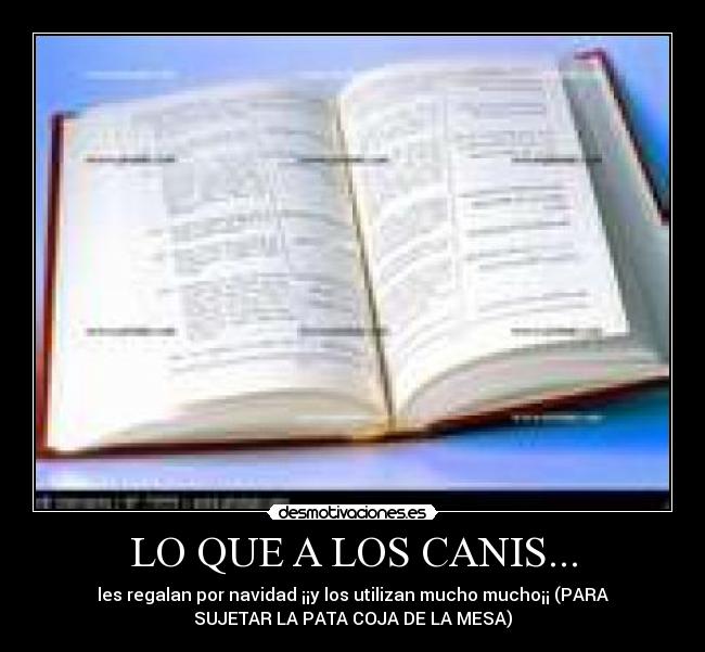 LO QUE A LOS CANIS... - 