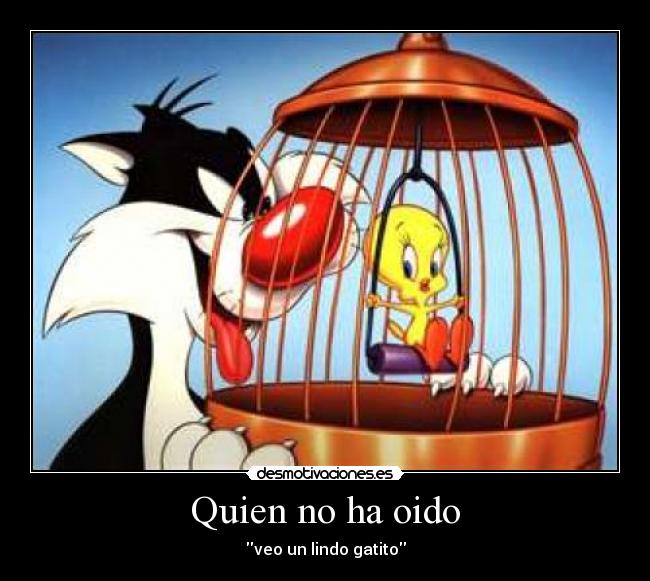 Quien no ha oido - 