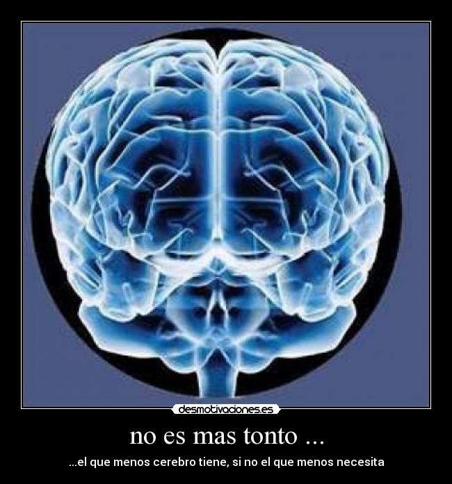 no es mas tonto ... - ...el que menos cerebro tiene, si no el que menos necesita