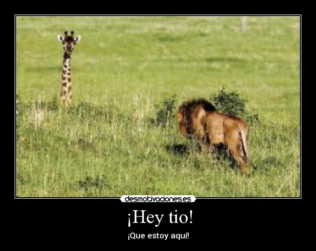 ¡Hey tio! - ¡Que estoy aquí!