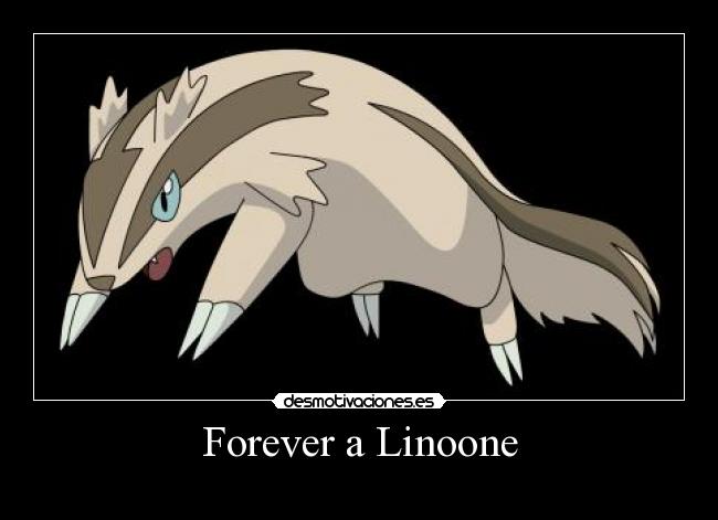 Forever a Linoone -