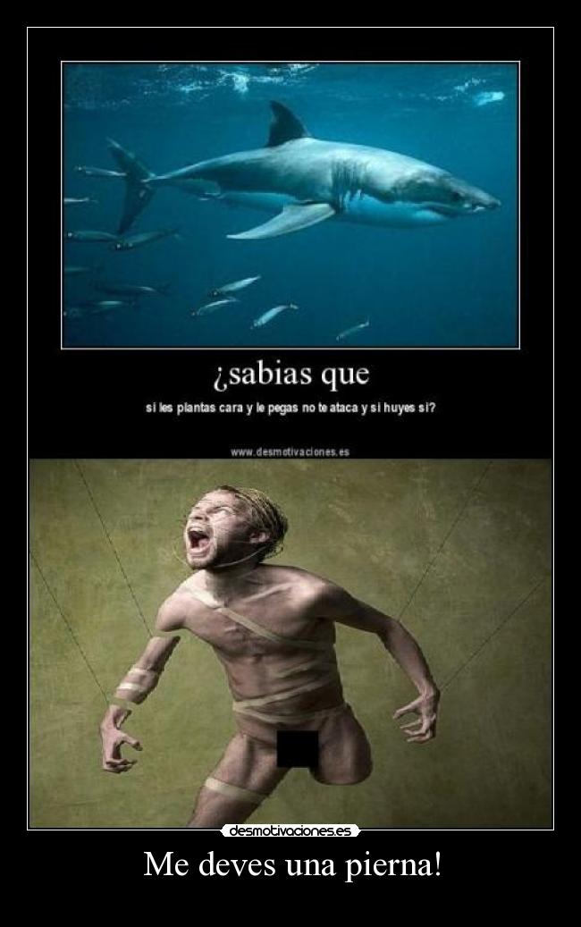 Me deves una pierna! -