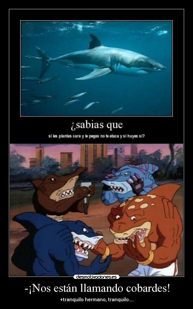 -¡Nos están llamando cobardes! - 