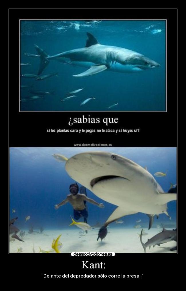 Kant: - Delante del depredador sólo corre la presa..