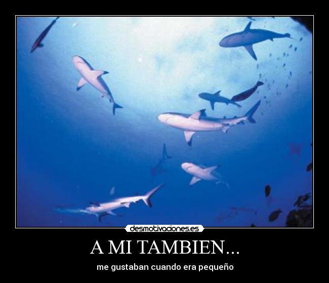 A MI TAMBIEN... - me gustaban cuando era pequeño