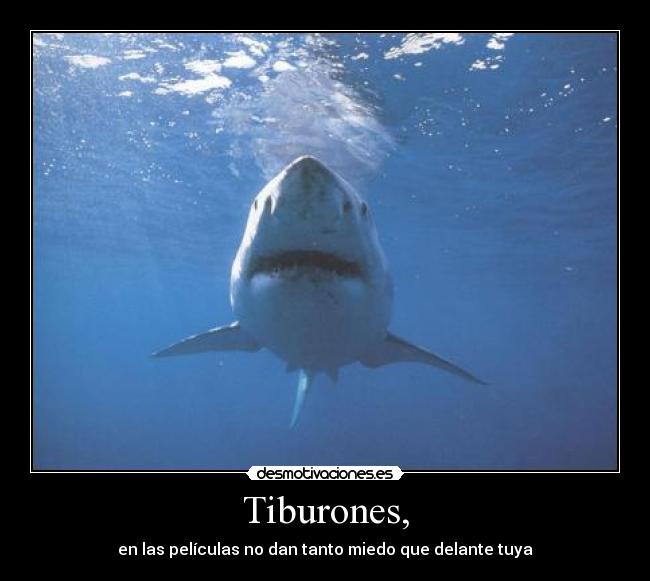 Tiburones, - 