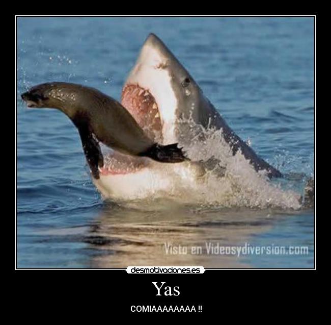 Yas - COMIAAAAAAAA !!