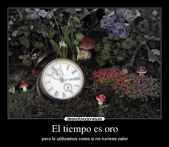 El tiempo es oro - pero lo utilizamos como si no tuviese valor