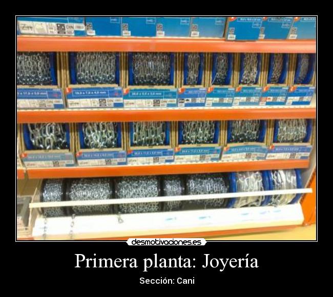 Primera planta: Joyería - Sección: Cani