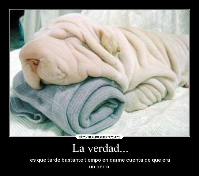 La verdad... - 