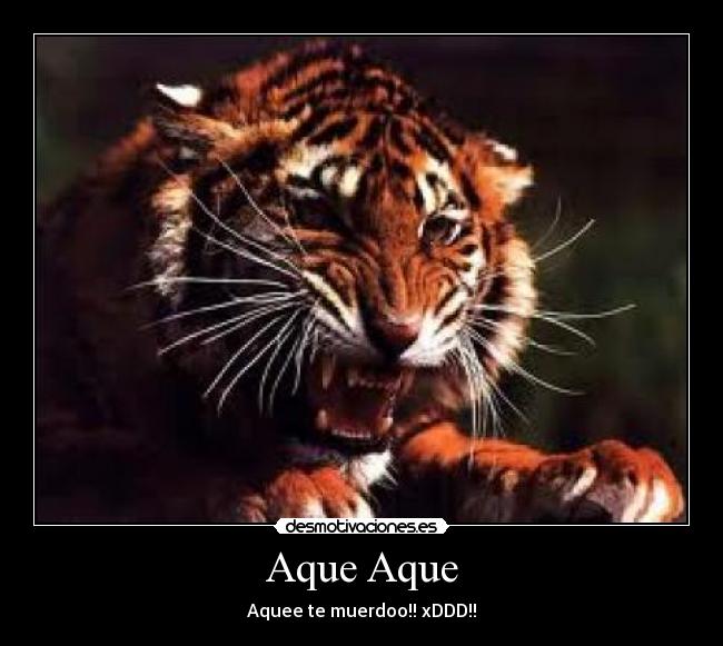 Aque Aque -