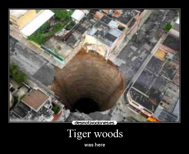 Tiger woods - 