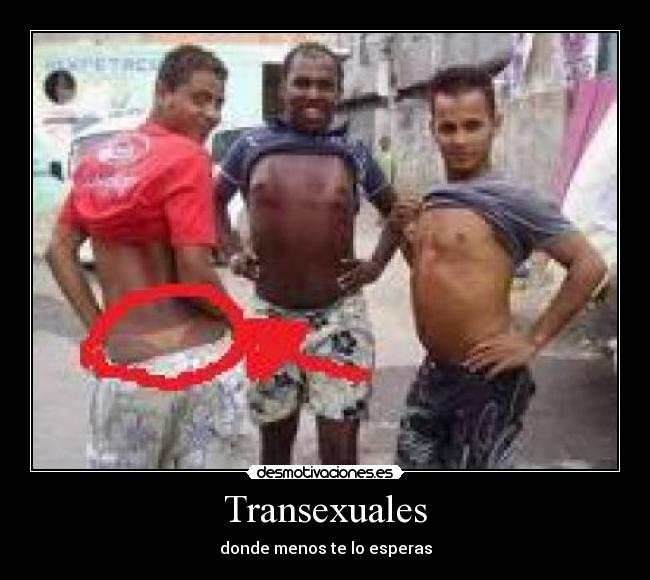 Transexuales -