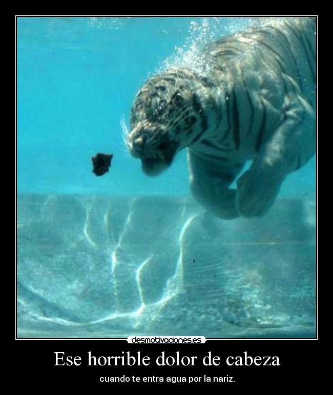 Ese horrible dolor de cabeza - cuando te entra agua por la nariz.