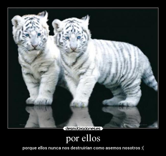 por ellos - 