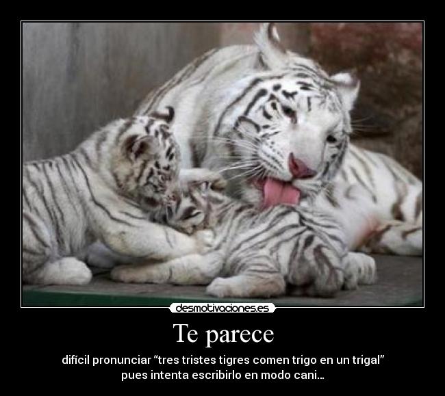 Te parece - difícil pronunciar “tres tristes tigres comen trigo en un trigal”
pues intenta escribirlo en modo cani…