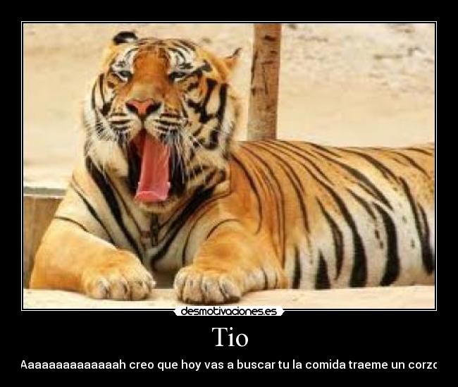 Tio - Aaaaaaaaaaaaaah creo que hoy vas a buscar tu la comida traeme un corzo