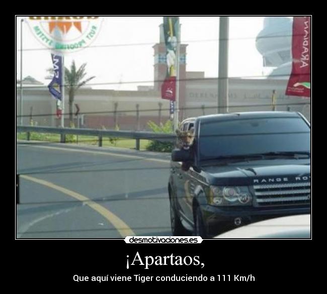 ¡Apartaos, - Que aquí viene Tiger conduciendo a 111 Km/h