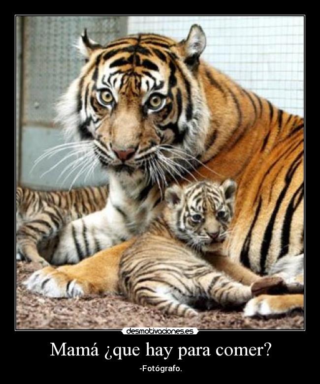 carteles josemi1001 desmotivaciones