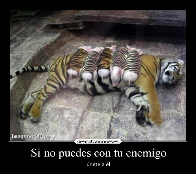 Si no puedes con tu enemigo - 