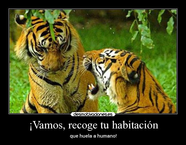 ¡Vamos, recoge tu habitación - que huela a humano!