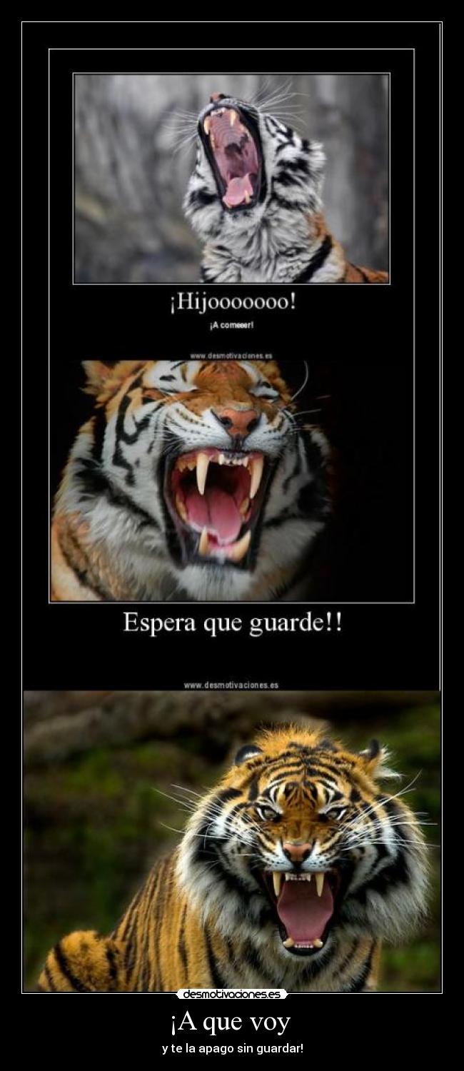 carteles trollface92 desmotivaciones