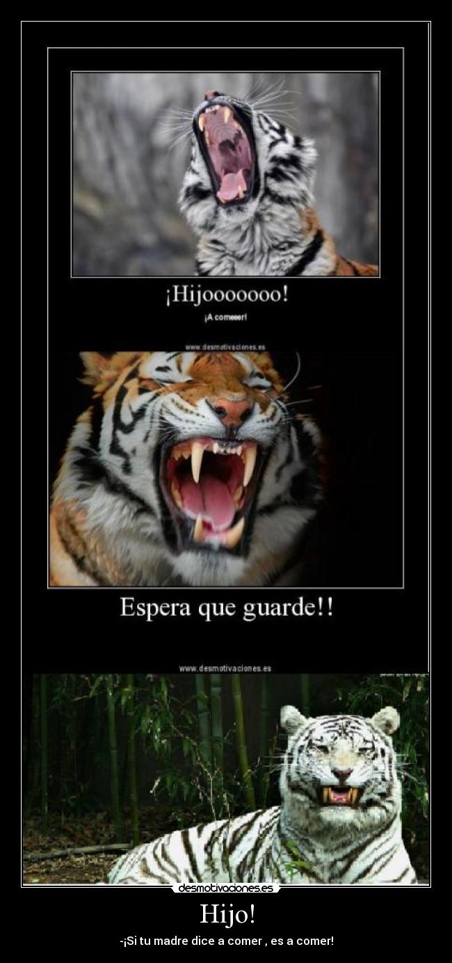 Hijo! - -¡Si tu madre dice a comer , es a comer!