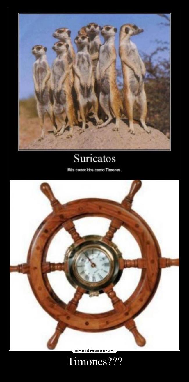 Timones??? -