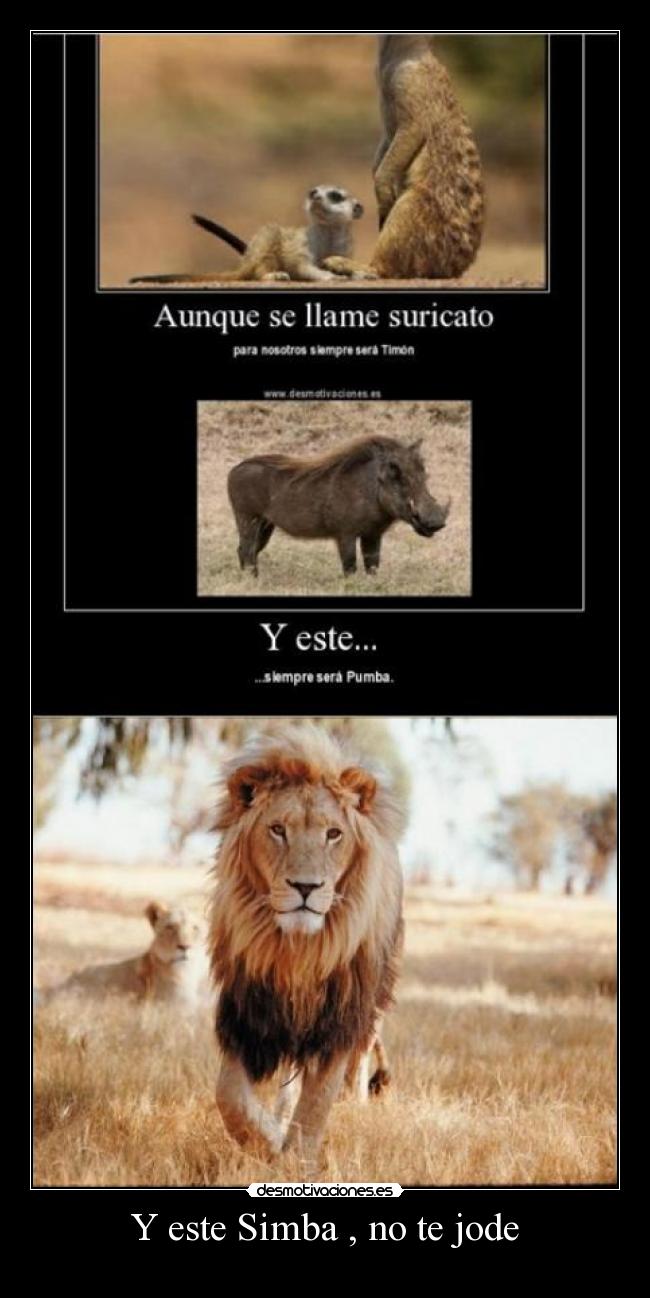 Y este Simba , no te jode -