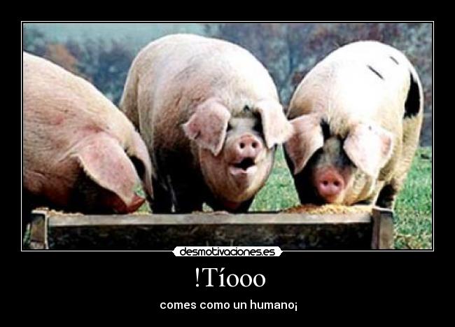 !Tíooo - comes como un humano¡