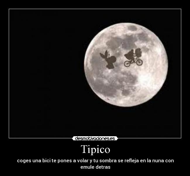 Tipico - 