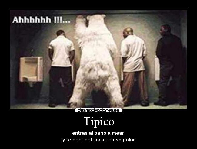 Típico -
