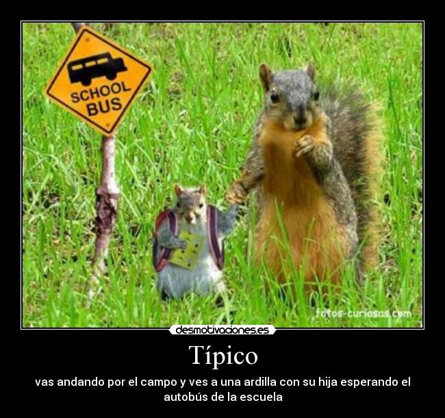 Típico - vas andando por el campo y ves a una ardilla con su hija esperando el
autobús de la escuela