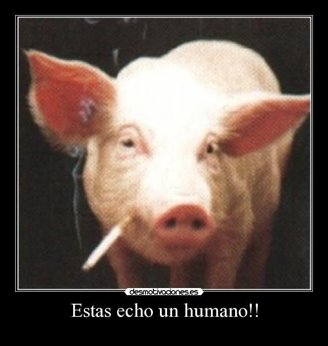 Estas echo un humano!! - 