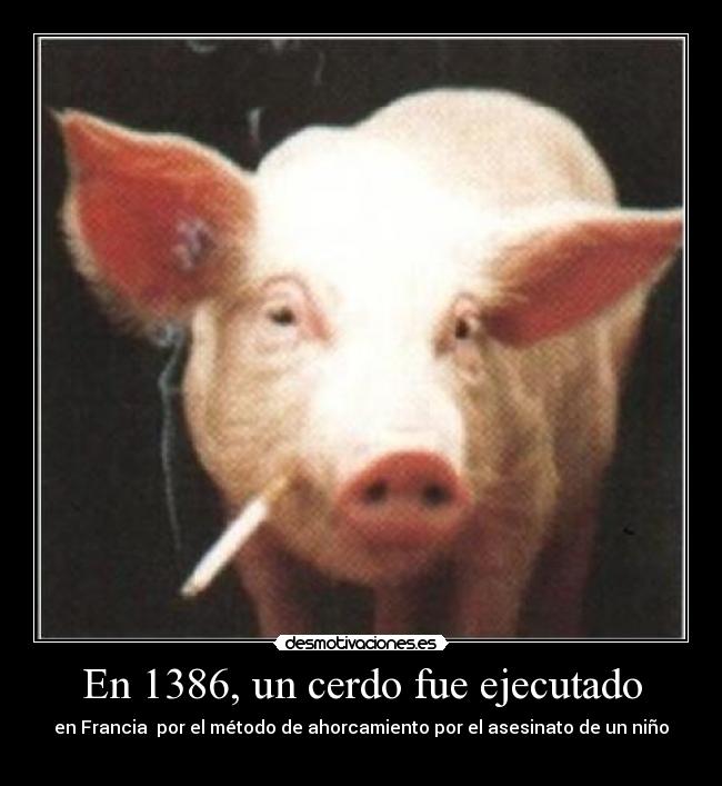 En 1386, un cerdo fue ejecutado -