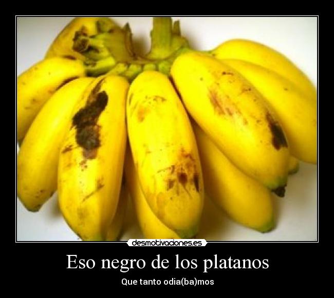 Eso negro de los platanos - Que tanto odia(ba)mos