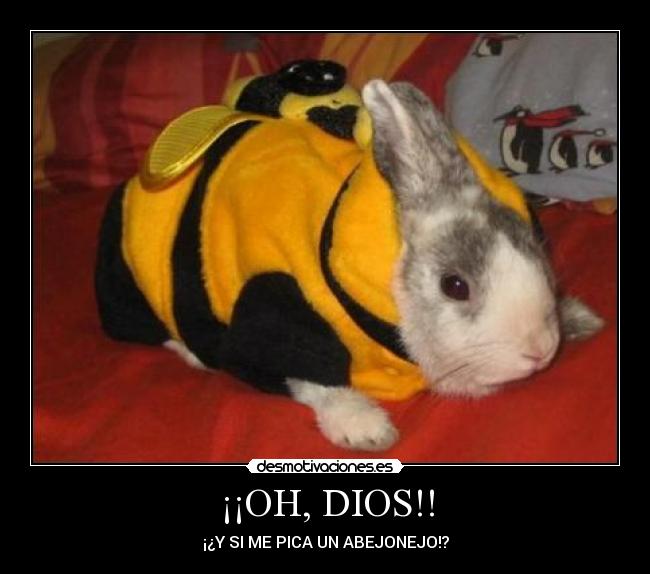 carteles dios ohdios desmotivaciones