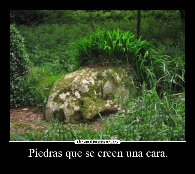 Piedras que se creen una cara. -