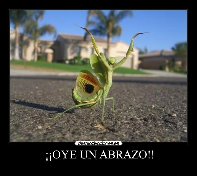 carteles mantishuevuda desmotivaciones