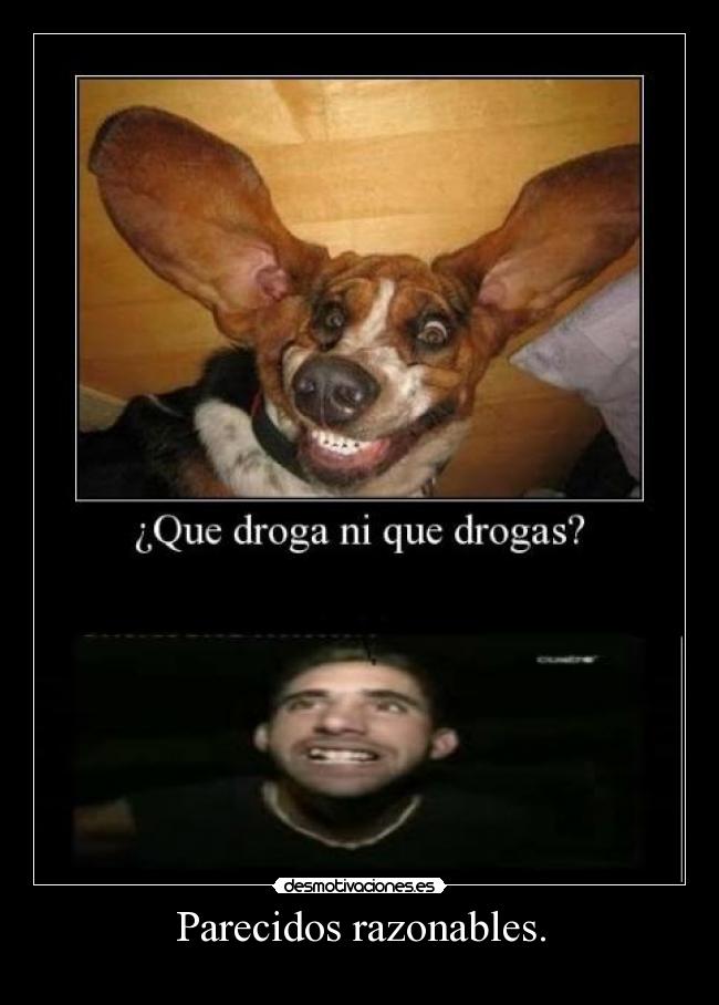 Parecidos razonables. - 