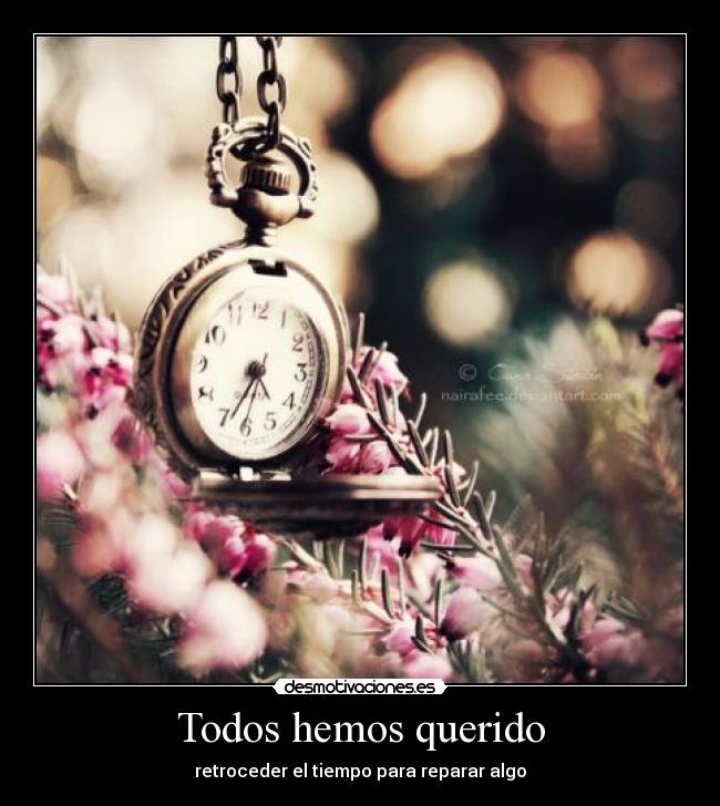 Todos hemos querido -