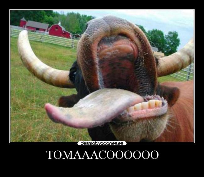 TOMAAACOOOOOO -