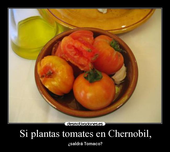 Si plantas tomates en Chernobil, -