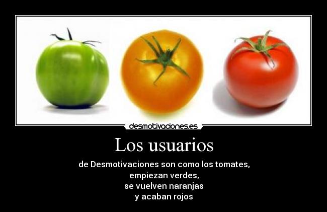 Los usuarios - de Desmotivaciones son como los tomates,
empiezan verdes,
se vuelven naranjas
y acaban rojos