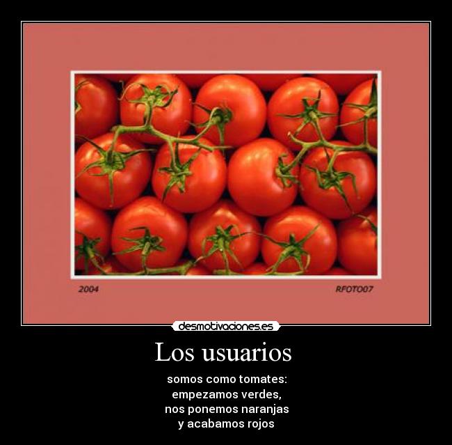 Los usuarios  - somos como tomates:
empezamos verdes,
nos ponemos naranjas
y acabamos rojos