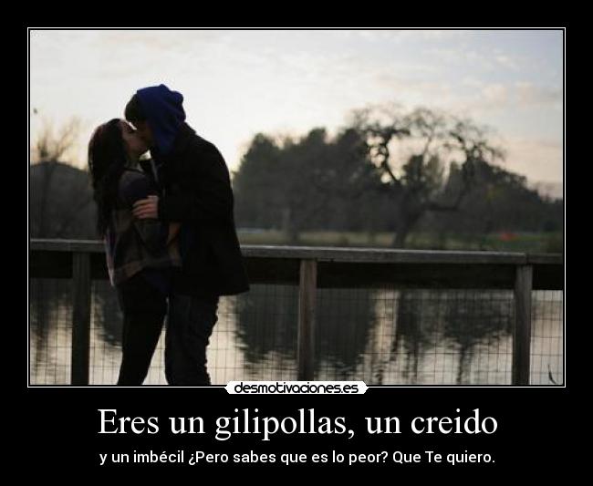 Eres un gilipollas, un creido - y un imbécil ¿Pero sabes que es lo peor? Que Te quiero.