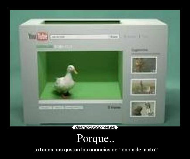 Porque.. -